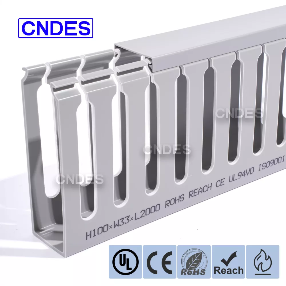 100×33 सर्वर रैक केबल प्रबंधन